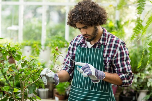 A young man with curly dark hair and a beard, wearing a plaid shirt, green striped apron, and gardening gloves, is examining a small flowering shrub in a bright greenhouse or garden center. The environment features lush greenery with various potted plants and ferns, illuminated by natural light filtering through glass panels, creating a vibrant and fresh atmosphere typical of professional gardening settings. His focused expression indicates careful attention to plant health, aligning with gardening and landscaping services offered by Landscapers Battersea, especially in the Battersea area of London, with the outdoor space and plant details emphasizing the importance of proper plant care and garden design.