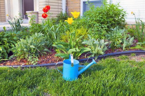 A neatly maintained front garden featuring a lush, green lawn in the foreground with dense, healthy grass. Behind the lawn, there is a flower bed bordered with dark edging material, filled with a variety of flowering plants and shrubs. Bright red tulips and yellow daffodils add vibrant splashes of colour, contrasting with the greenery of the leaves and stems. The flower bed contains leafy plants with textured foliage and blooming flowers, some tall and others more compact. In the background, a light grey fence or wall partially encloses the garden area, providing privacy. The scene is set in natural daylight with soft shadows, suggesting a clear, sunny day. The garden appears well-cared-for, aligning with professional gardening and landscaping services typical of Battersea or surrounding areas, with minimal use of decorative elements or outdoor furniture visible. In the lower part of the image, a blue metal watering can is positioned on the grass, indicating ongoing garden maintenance. The overall environment is peaceful and inviting, reflecting a tidy, landscaped outdoor space suitable for gardening services like planting and lawn care that Landscapers Battersea might provide.