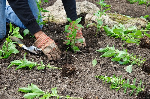 Professional complaints procedure for landscapers