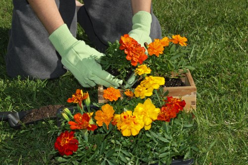 In a garden scene, a person wearing light green gardening gloves is planting vibrant, multi-coloured flowers, including yellow, orange, and red blossoms, into a small wooden garden bed on a well-maintained grassy lawn. The garden bed contains a mix of green foliage and blooming flowers, arranged in a natural, informal pattern that enhances the outdoor space's visual appeal. The background shows a lush, green garden environment, suggesting a healthy and cared-for outdoor area typical of a residential garden in Battersea. The lighting indicates a bright, sunny day, highlighting the vivid colours of the flowers and the healthy lawn surface, which features dense, green grass with a slightly textured surface. This scene reflects professional gardening work, aligning with services offered by Landscapers Battersea, focused on planting and garden maintenance, providing a peaceful and inviting garden environment.