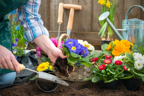 A gardening scene in a backyard with a focus on a person's hands planting a vibrant purple and yellow primrose in freshly turned dark soil. Surrounding the planting area, there are various flowering plants, including red, yellow, and purple blooms, arranged in black plastic pots and baskets. To the right, a watering can and a small garden trowel rest on the ground, indicating ongoing garden maintenance. A wooden fence forms the background, with additional gardening tools such as a hand rake and a pair of gloves visible nearby. The scene is bathed in natural daylight, suggesting a mild, overcast day suitable for outdoor gardening tasks familiar to residents of Battersea or nearby London areas. The lush greenery and healthy flowers reflect attentive care typical of professional gardening services offered by companies like Landscapers Battersea, with the setting capturing a well-managed, attractive outdoor space in an urban garden environment.