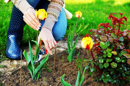 A person planting yellow and red tulips in a well-maintained garden bed with dark, rich soil, surrounded by vibrant green grass and a nearby shrub with reddish-green leaves. The individual is wearing a multi-coloured knitted sweater and blue jeans, kneeling on the ground while carefully placing the flowers into the soil. In the background, there is an outdoor landscaped area that may include paved pathways or decking, typical of Battersea gardens, creating a neat and inviting outdoor space suitable for gardening and landscaping services. The scene is illuminated by natural daylight, indicating a clear, mild weather day, emphasizing a tidy, established garden environment with detailed plantings and clean surfaces, reflecting professional garden maintenance work related to lawn and plant care.