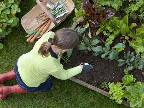 Seasonal garden clearance activities in Battersea