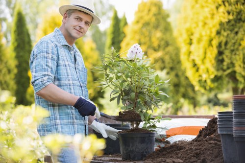 A gardener wearing a light-colored hat, blue checkered shirt, and gardening gloves is planting a flowering shrub into a black plastic pot in a landscaped outdoor garden. The garden features a well-maintained lawn area with lush, dense grass in the foreground, and a flower bed with a border of soil and mulch behind the gardener. In the background, there are tall, leafy trees and vibrant green foliage, indicating a healthy, mature garden, possibly in Battersea. The scene is sunny, with clear weather and natural light illuminating the garden space. The gardener is standing at a wooden workbench, with a few empty plant pots and gardening tools nearby, supporting outdoor gardening and landscaping activities typical of professional lawn and garden care services in the local area. This setting illustrates a space designed for planting, growing, and maintaining attractive garden greenery, aligning with the gardening services offered by Landscapers Battersea.